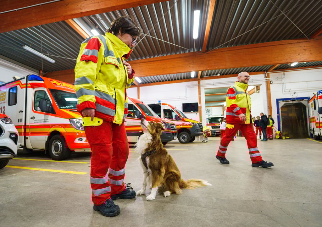 Rettungshunde werden unter anderem für die Flächen- und Trümmersuche ausgebildet.