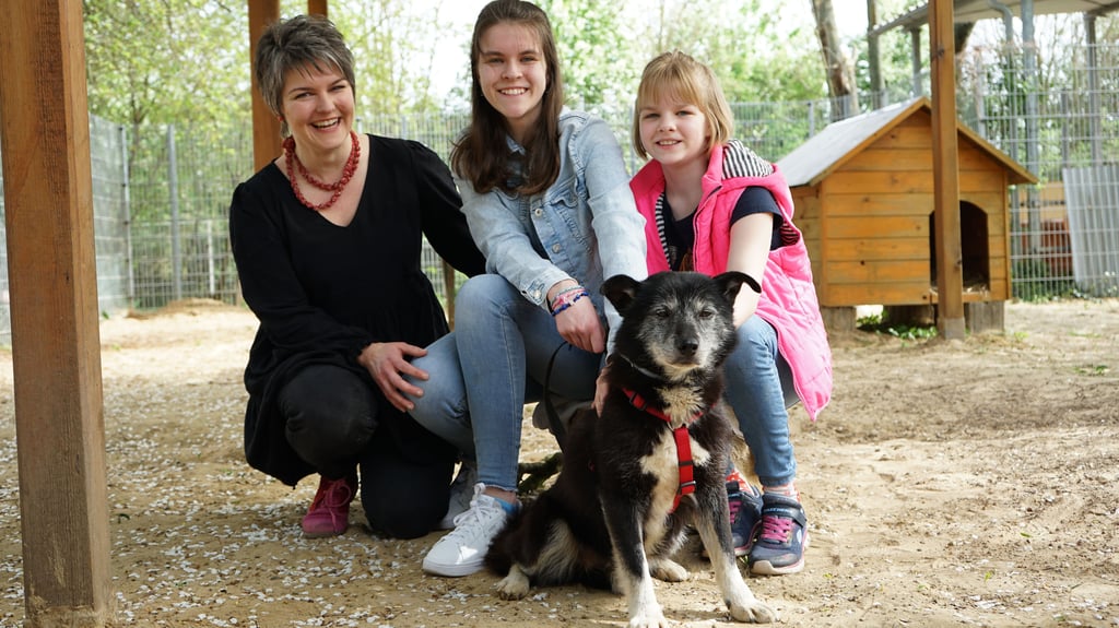 Verirrter Hund gefangen: Sophie, Frieda und Käthe Wieneke haben vor einiger Zeit Streuner "Lenny" gefangen.
