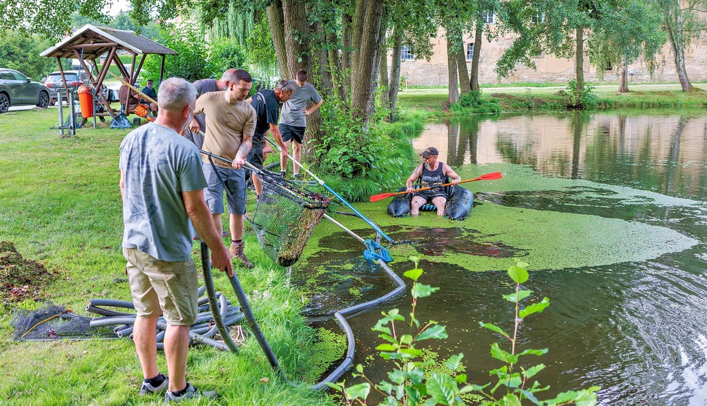 Der Thierbacher Inselteich wird durch Mitglieder der Anglergruppe Weickelsdorf von Wasserlinsen befreit.