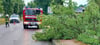 Die Genthiner Feuerwehr war am Sonntag besonders in Altenplathow im Einsatz, um umgestürzte Bäume und abgebrochene Äste zu entfernen. 