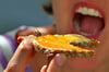 Vorsicht, Wespe auf dem Marmeladenbrot! Ein Stich in den Mund kann lebensbedrohliche Schwellungen auslösen.