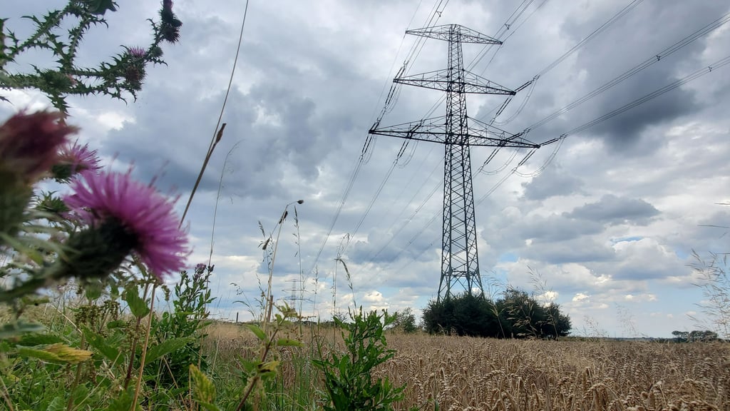 Auf einem Acker zwischen Wolmirstedt und Farsleben soll voraussichtlich ein großer Batteriespeicher für Strom entstehen.