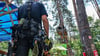 Die Polizei prüft, ob noch Aktivisten sich in den Baumhäusern des Waldcamps aufhalten.