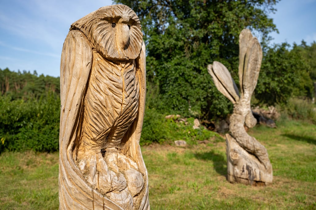 Auf der Holzskulpturenwiese werden die Kunstwerke ausgestellt.