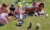 Die Kinder hatten bei dem Storchenhof-Erlebnistag in Loburg die Möglichkeit, im Taubengehege die Rassetauben zu füttern. 