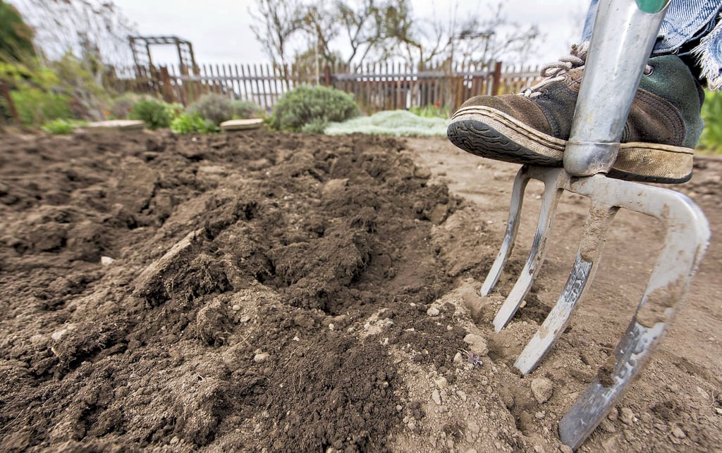 Arbeiten mit der Grabegabel gehören fest zum Gartenjahr. Dass es aber auch anders gehen kann, wird in Neulingen deutlich gemacht
