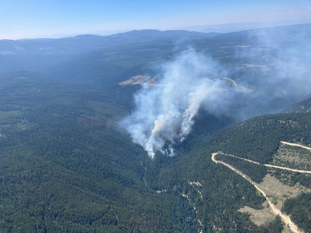 Wie in den vergangenen Jahren gibt es in Kanada und in den USA zahlreiche Waldbrände.