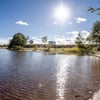 An einigen Badeseen in Sachsen-Anhalt kann man ungestört schwimmen.