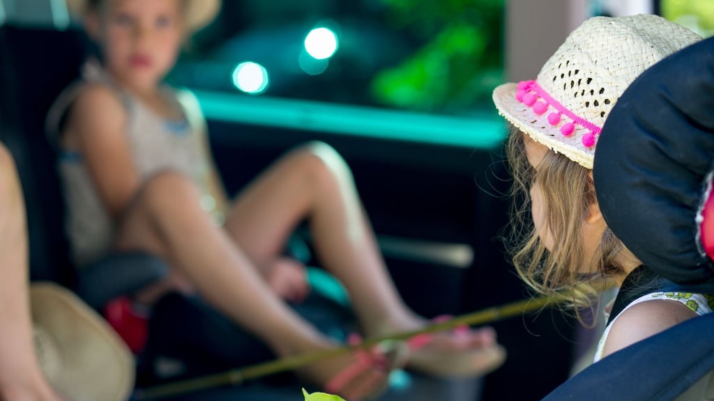 Eine Autofahrt im Stau während andere Bundesländer wie Bayern noch im Urlaub sind? Das finden in Mitteldeutschland viele ungerecht.&nbsp;