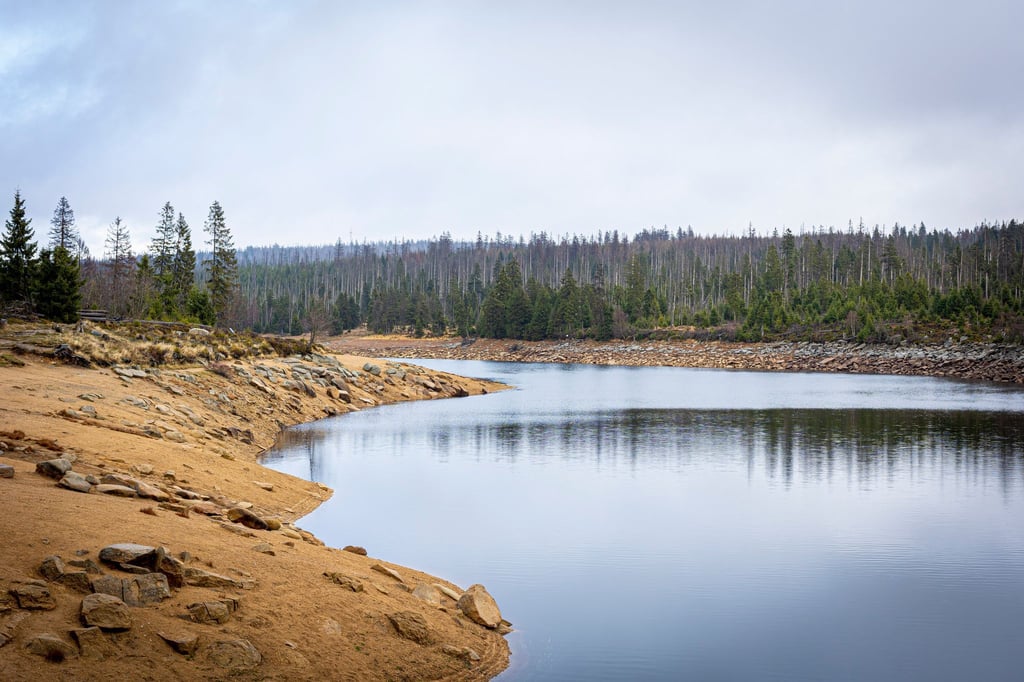 Auch der historische Stausee Oderteich ist Teil der Oberharzer Wasserwirtschaft. (Archivbild)