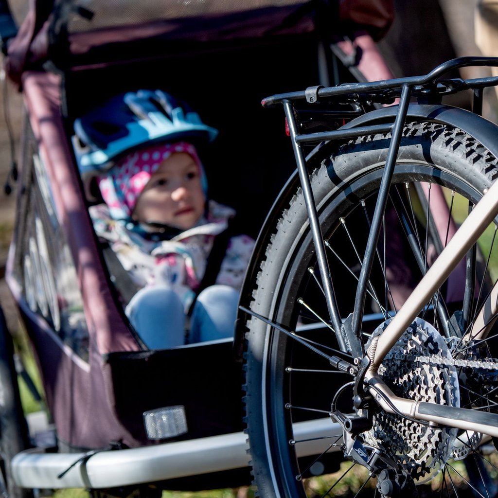 Stiftung Warentest Kinderanhänger fürs Fahrrad Tipps für sicheren Fahrspaß