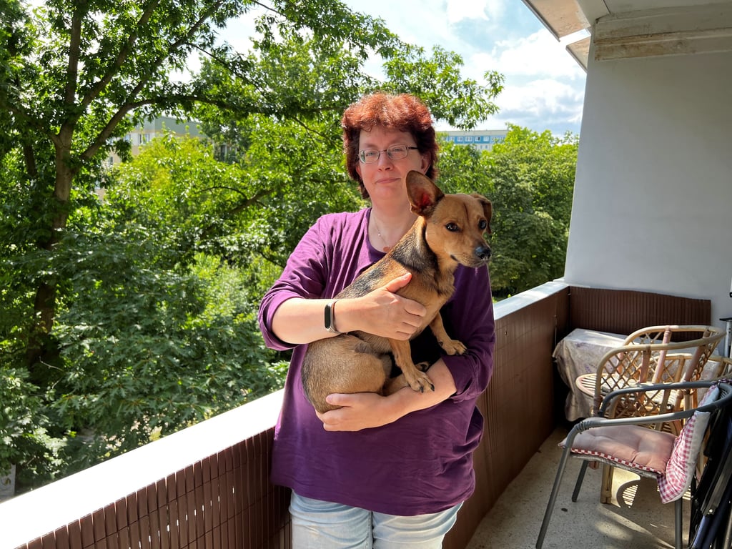 Ein stehendes und ein hängendes Ohr sind Otis Markenzeichen. Seine Halterin Yvette Liepold möchte ihn zum Assistenzhund ausbilden.