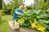 Ralf Kannegießer nutzt seinen Garten in Droyßig auch, um frisches Gemüse und Kräuter für das Restaurant zu gewinnen.