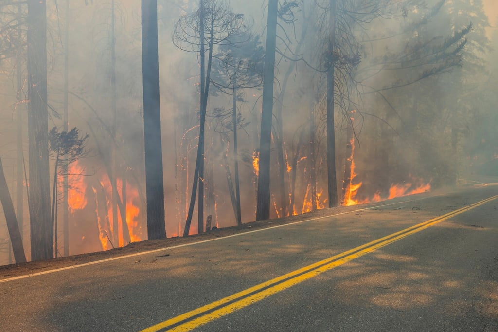 Angesichts des Klimawandels warnen Experten, dass Feuer häufiger auftreten und mehr Zerstörungskraft entfalten.