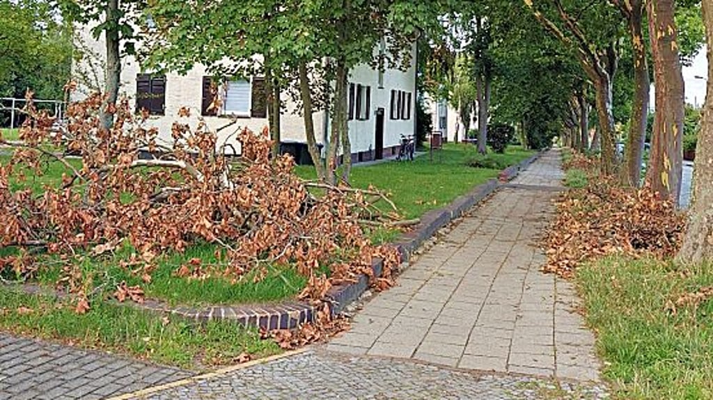In der Bahnhofstraße Wolfen blieben die Äste nach dem Unwetter lange liegen.