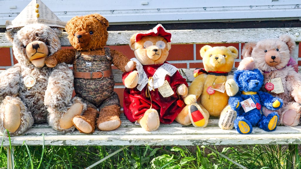 Karin Brockmeier-Kroggel aus Wanzer im Landkreis Stendal hat alte und neuere Teddybären. Wobei der Wiedervereinigungsteddy (vierter von links) ja auch schon über 30 Jahre alt ist.