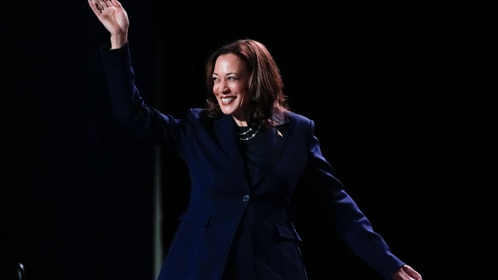 Die Demokratische Partei stimmt über ihren US-Präsidentschaftskandidaten ab, Kalama Harris will es werden. (Archivbild)