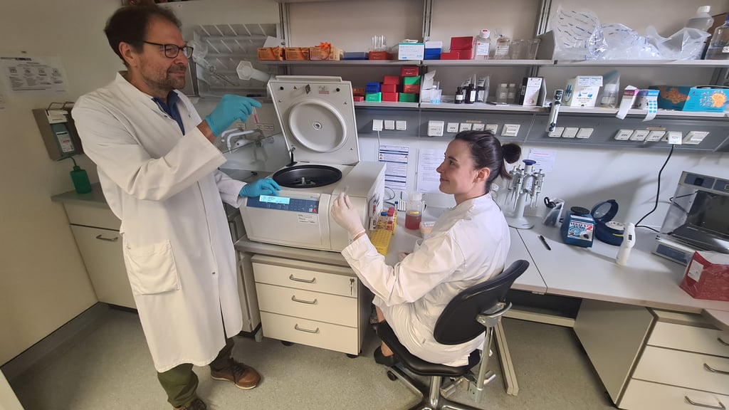 Prof. Thomas Fischer und Dr. Romy Böttcher-Loschinski in der Medizinischen Fakultät der Otto-von-Guericke-Universität Magdeburg.