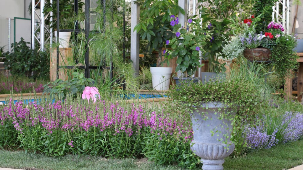 Vom 2. bis zum 16. August ist in der Blumenhalle der Landesgartenschau in Bad Dürrenberg eine neue Blumenausstellung zu sehen.