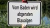 Die durch die Landesuntersuchungsanstalt Dresden nachgewiesenen Algen gelten als potenzielle Toxinbildner und können eine gesundheitliche Gefahr für Badende darstellen. (Symbolbild)