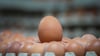 Ein Ei reicht, um zu erkennen, wie die Henne gehalten wurde. (Symbolbild)