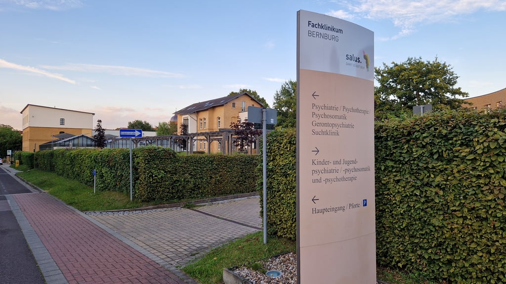 Die Behörden in Halle haben zwei als Intensivtäter bekannte Kinder in psychatrische Einrichtungen gebracht: Einer der beiden Jungs wurde nach Bernburg in diese Fachklinik gebracht.