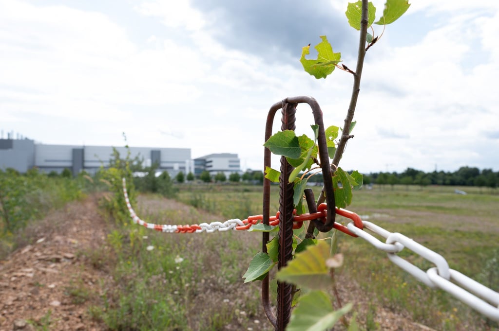 Der taiwanische Chiphersteller TSMC will ein Halbleiterwerk im Industriepark in Dresden errichten. (Archivbild)