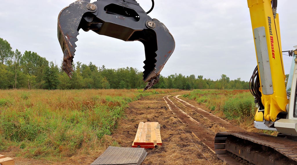 Im Jahrstedter Drömling wird ein Bohlensteg aus Eichenholz gebaut. Zunächst aber entsteht ein Weg aus Buchenholz.