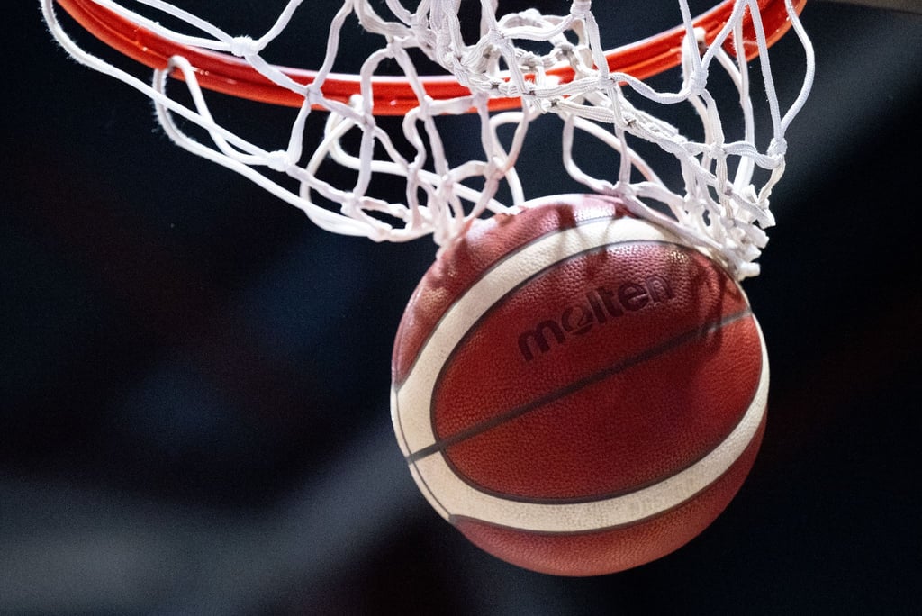 Chemnitz verstärkt sich auf der Forward-Position.