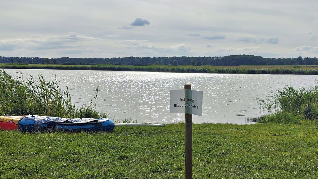 Die Idylle am Gödnitzer See trügt, es wurden Blaualgen im Wasser nachgewiesen.