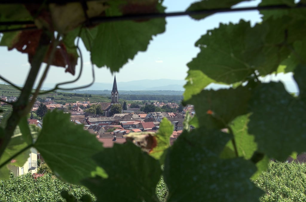 Ist geprägt von Wein und dessen Anbau: Ihringen am Kaiserstuhl.