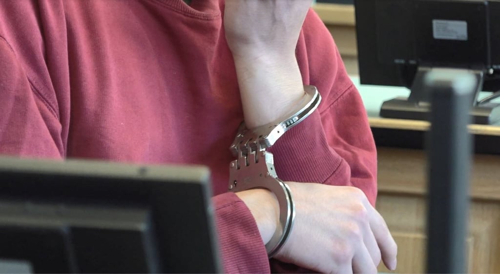 Der damals 18 Jahre alte Mann aus Magdeburg soll seine Mutter und seinen Bruder getötet haben.