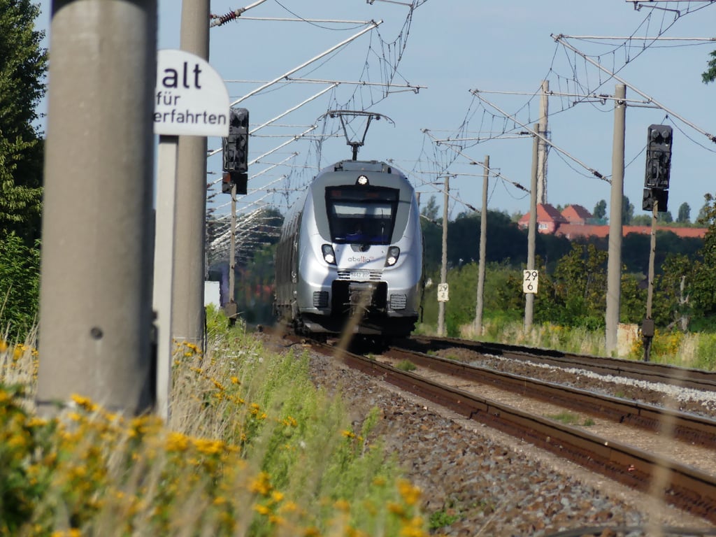 Haben alle Fahrgäste ein gültiges Ticket?