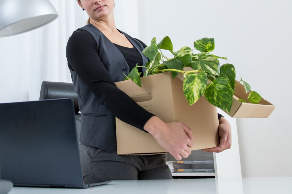 Eine Kündigung führt nicht zum Verfall des Resturlaubs: Arbeitnehmer können den Resturlaub innerhalb der Kündigungsfrist nehmen oder ihn sich auszahlen lassen.