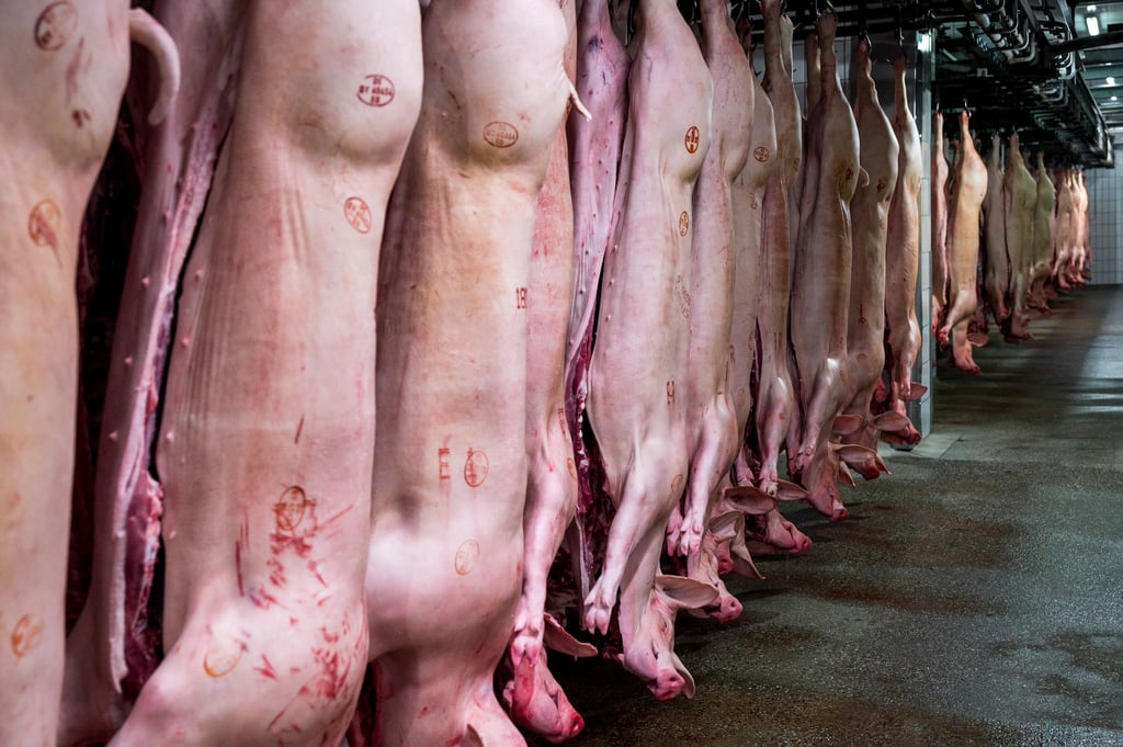 Schlachthöfe produzieren wieder mehr Schweinefleisch. (Archivbild)