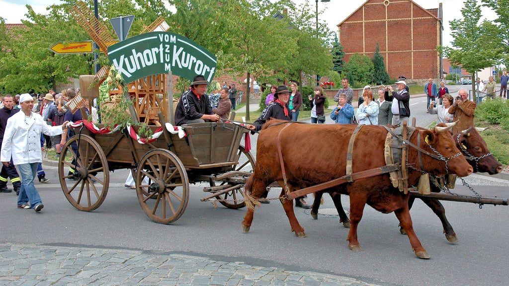 „Vom Kuhort zum Kurort“ hieß es nicht nur vor 25 Jahren, sondern auch im Jahr 2011 im Festumzug zur 1050-Jahr-Feier. Morgen ist der Slogan wieder aktuell.