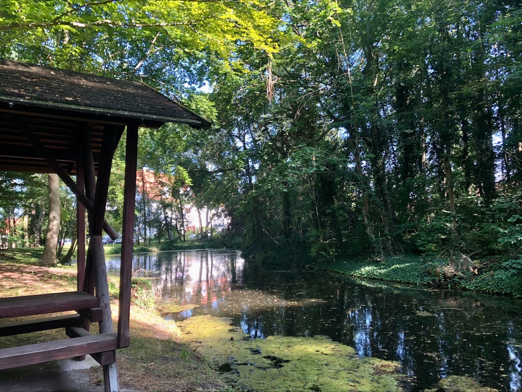 Der Parkteich in Tollwitz müsste dringend renaturiert werden. Das ist ein Projekt, das über Leader beantragt ist.