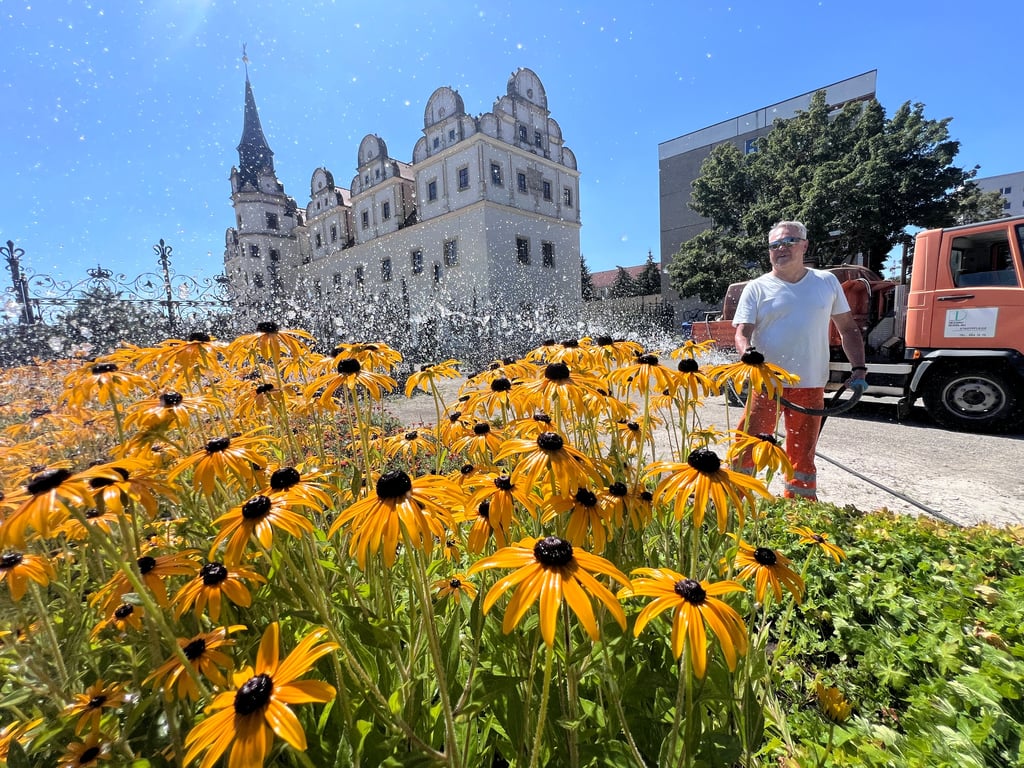 Wasser marsch: Reegelmäßig werden die Blumen und Pflanzen in den Beeten und Grünanlagen rund um den Johannbau gewässert.