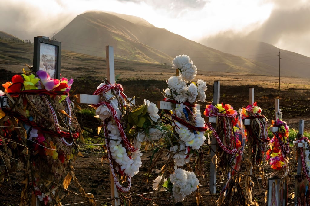 102 Menschen wurden Opfer der Brände auf Maui. (Archivbild)