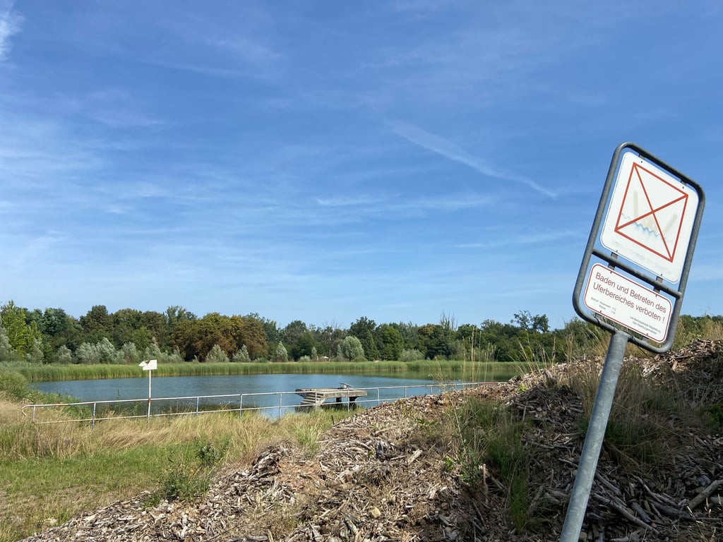 Ein aktueller Blick auf das Stadion Neue Welt in Magdeburg. Das Gelände liegt brach.
