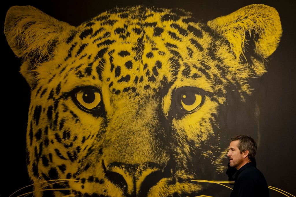 Zum 77. Mal findet in Locarno das Internationale Filmfestival statt.