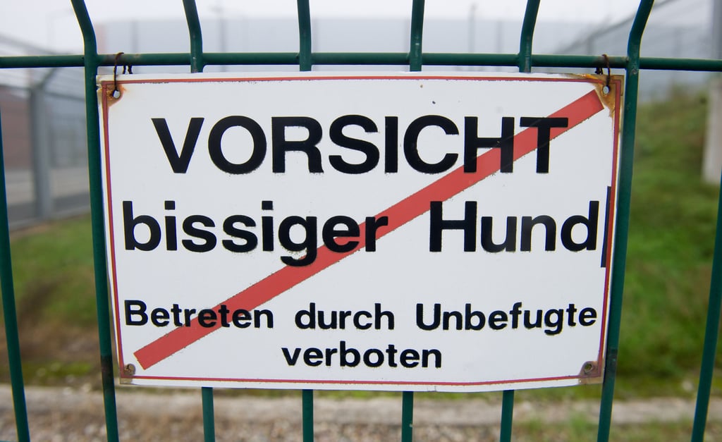 In Kuhberge bei Zerbst ist ein Mann von einem Hund angegriffen worden.