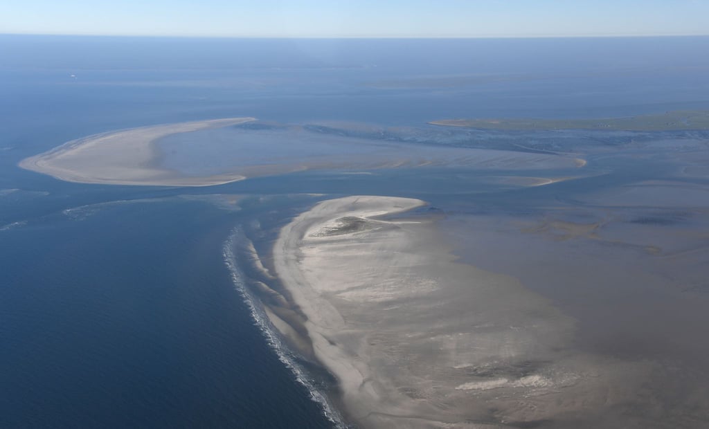 Die Klimaerwärmung verändert den Lebensraum am Wattenmeer. (Archivbild)