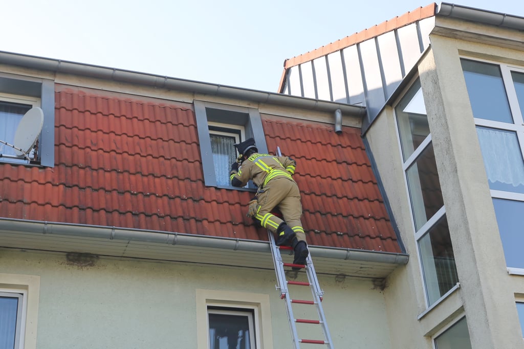 Per Steckleiter verschaffte sich ein Feuerwehrmann einen Einblick in das oberste Stockwerk.