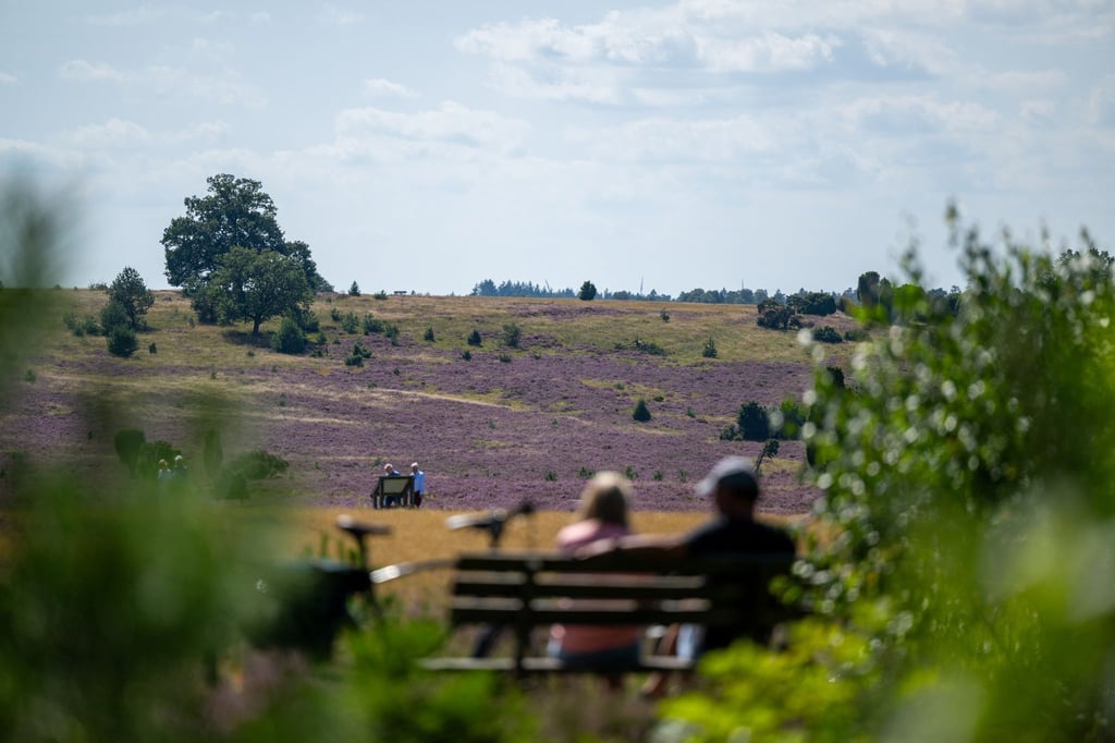 Der Naturpark Lüneburger Heide ist erweitert worden. Das Gebiet umfasst nun nun fast 110.000 Hektar. (Archivbild)