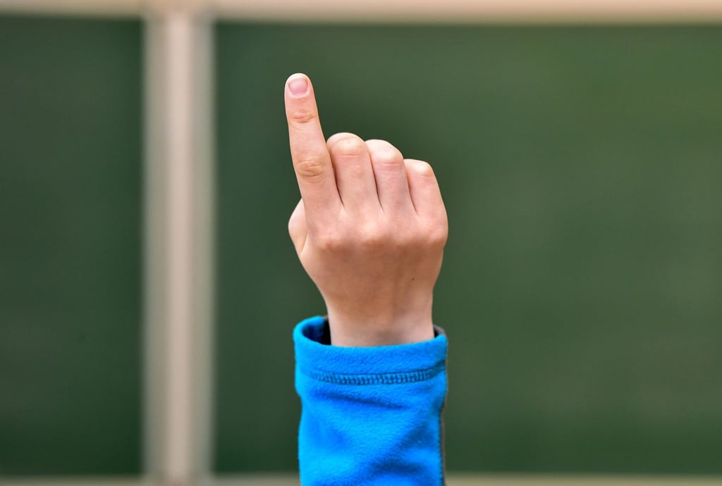 Grüne wollen mentale Gesundheit sächsischer Schüler stärken und für weniger Stress beim Lernen sorgen. (Illustration)