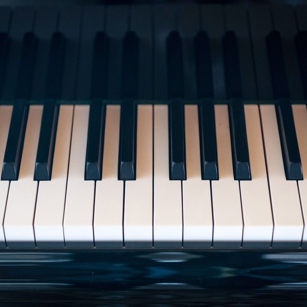 Ein Konzertflügel ist aus einem leerstehenden Haus im Harz geklaut worden.