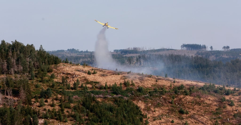 Auch ein Löschflugzeug hilft dabei, das Feuer bei Ilsenburg unter Kontrolle zu bringen.