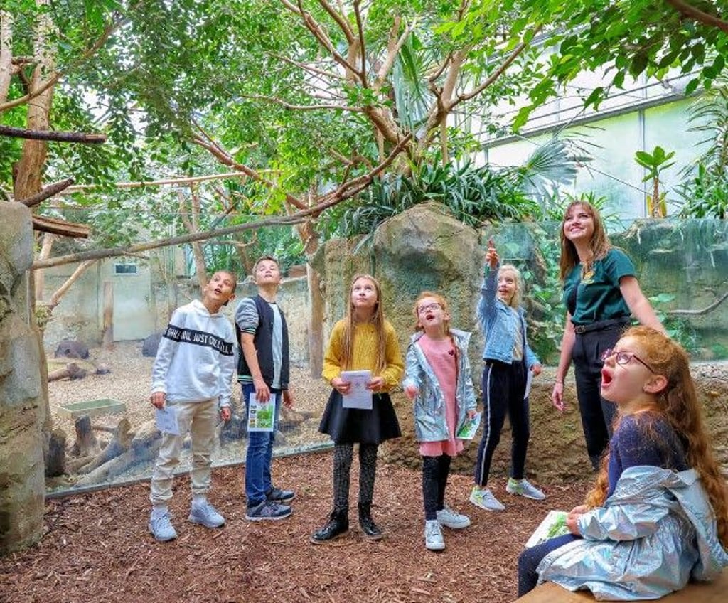 Rund 200 Tierarten warten auf begeisterte Kinder.