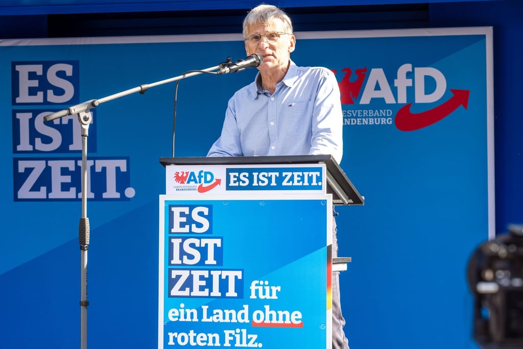 Hans-Christoph Berndt tritt für die AfD in Brandenburg als Spitzenkandidat an. (Archivfoto)